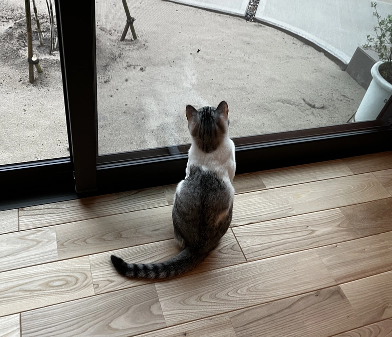 最後のお願いです