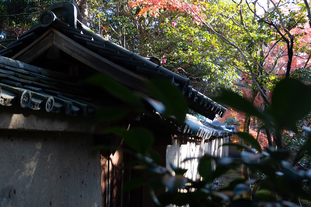 妄想から生まれるもの