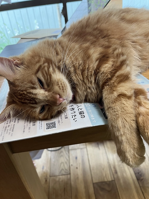 【のこり9日】30日目の朝　活動報告50投稿目！