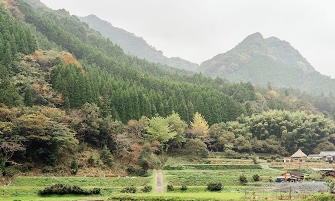 残り30時間を切りました⏰