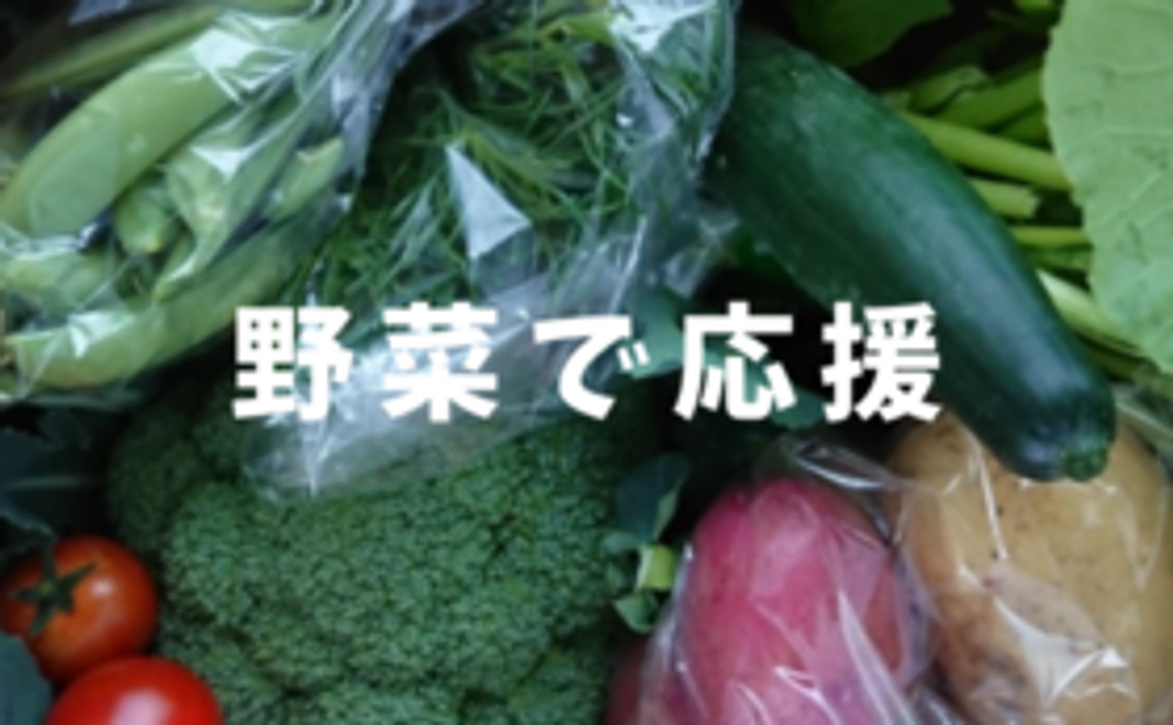 野菜で応援コース