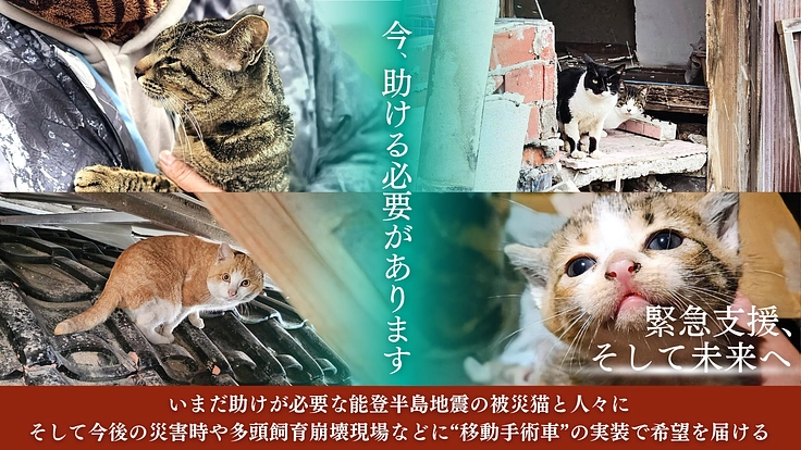 【緊急支援】能登半島地震の被災猫を救うため、移動手術車を作りたい！