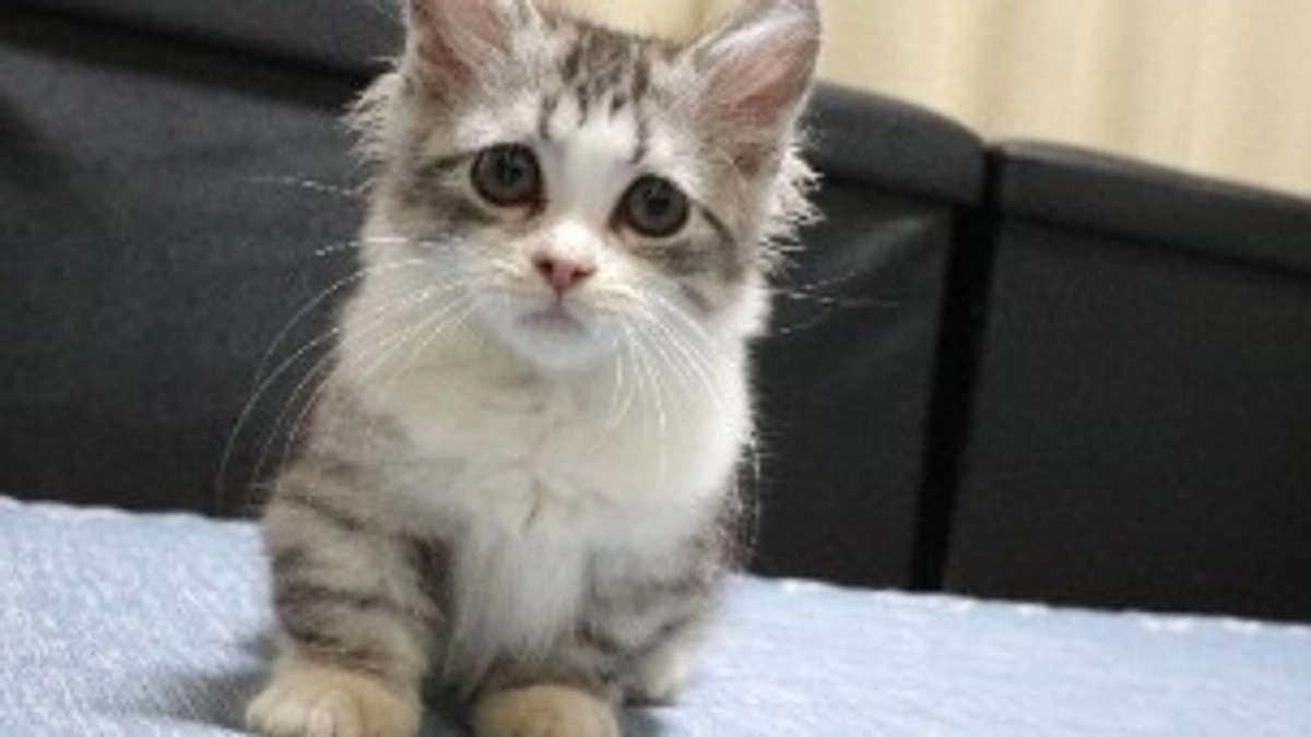 最期まで諦めたくありません！