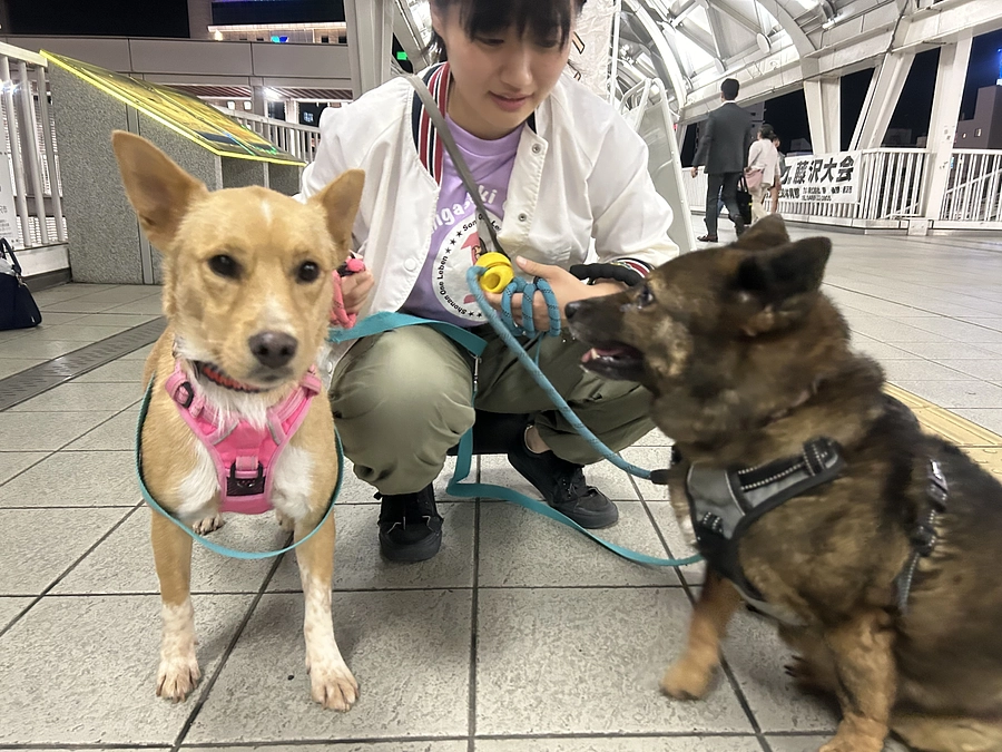 街頭募金の呼びかけをしました。