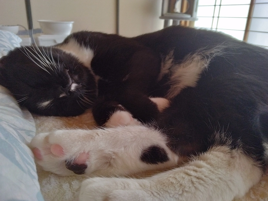 7/5はなちゃんの様子