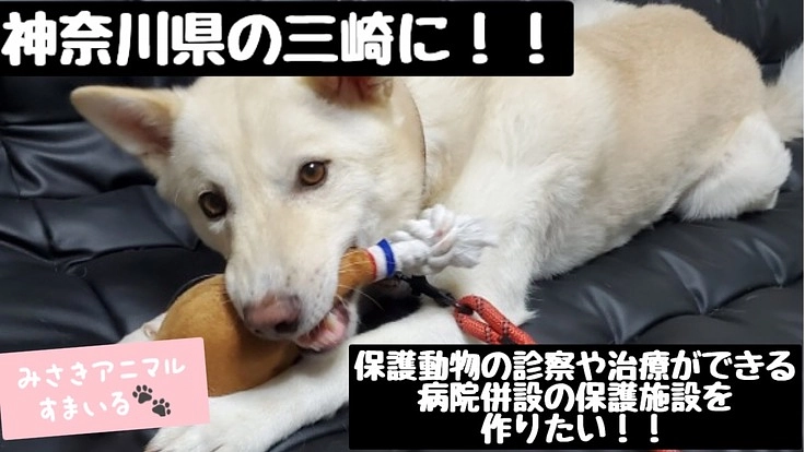 保護+医療を実現させる施設『三崎動物保護センター』の開設