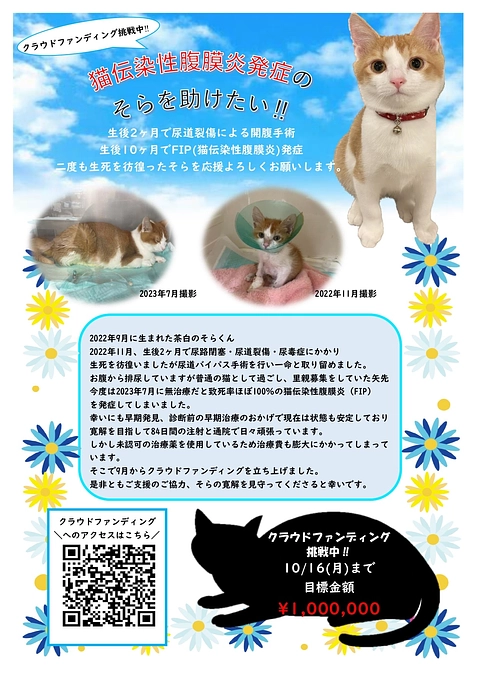 ちらしを作成いたしました。