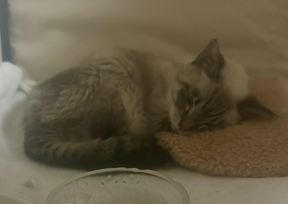 あいちゃん頑張ってくれてます❤️