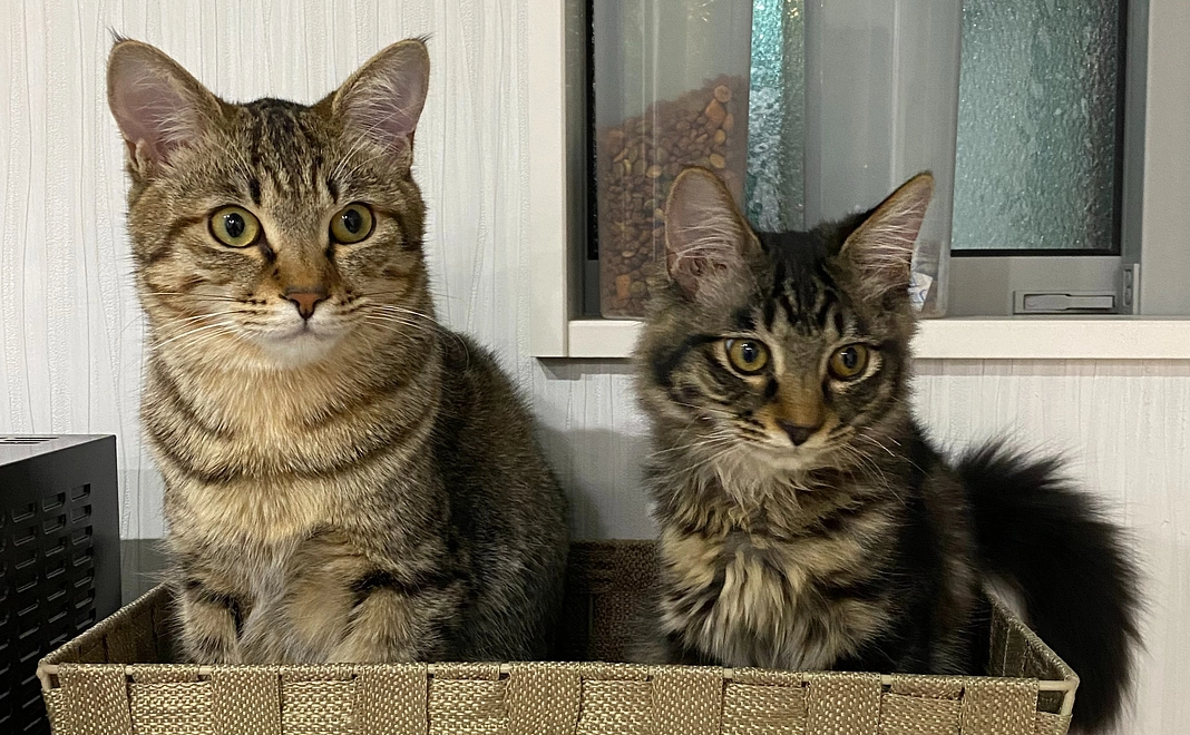 ドリンク1杯サービス♪