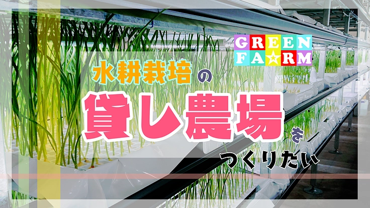 天候や季節に左右されない水耕栽培を誰でも始められるように