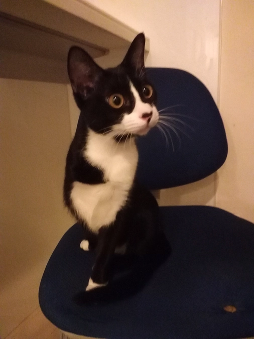 元気に育っています。