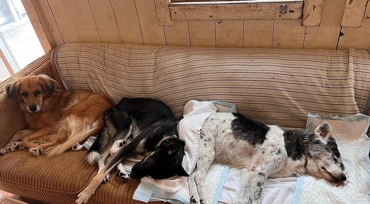 目の前の景色、空気、色、味が一瞬で変わる瞬間