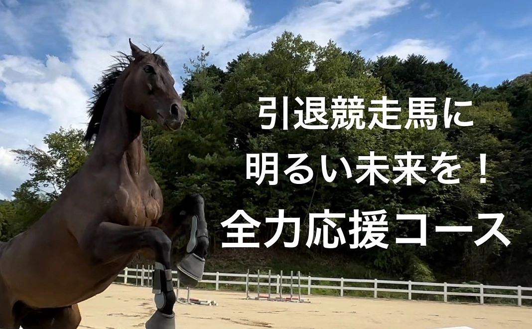 引退競走馬に明るい未来を　全力応援コース（3,000円）
