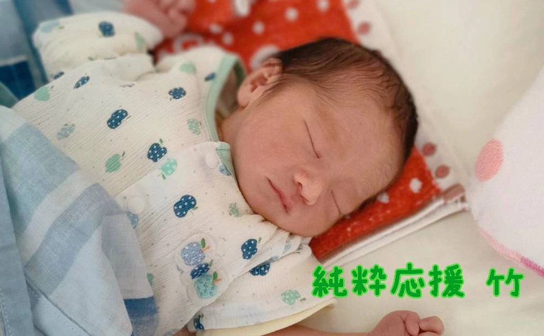 5,000|純粋応援-竹-