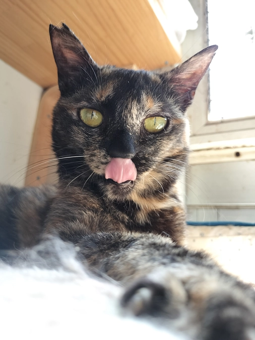 ともに走り抜けてくださりありがとうございました。