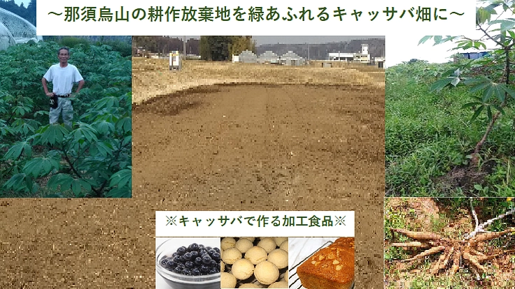地域農業振興と地球温暖化防止のため那須烏山の耕作放棄地をなくしたい
