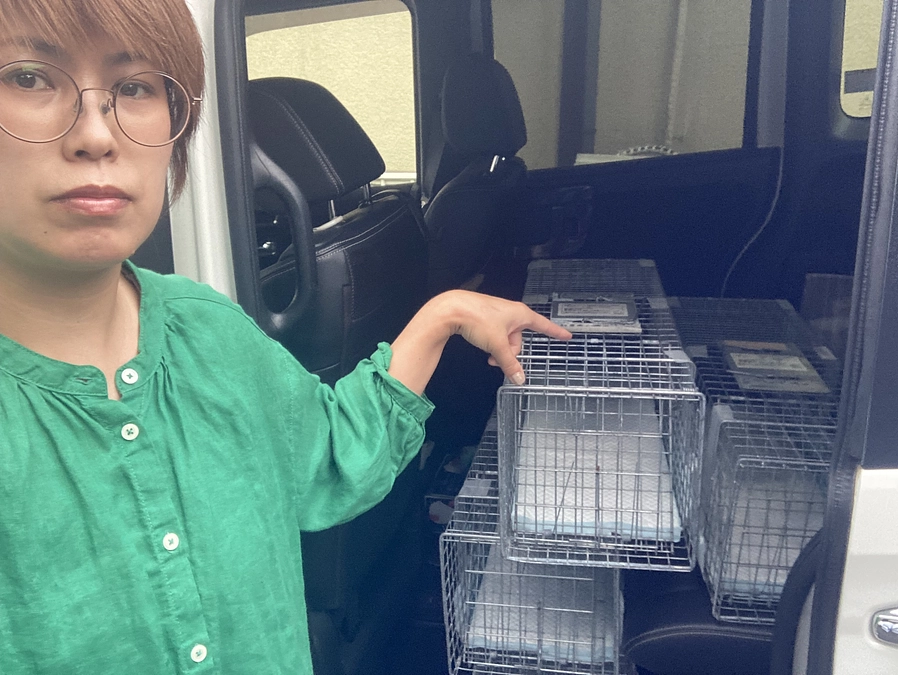 今から子猫3匹捕獲手伝ってきます