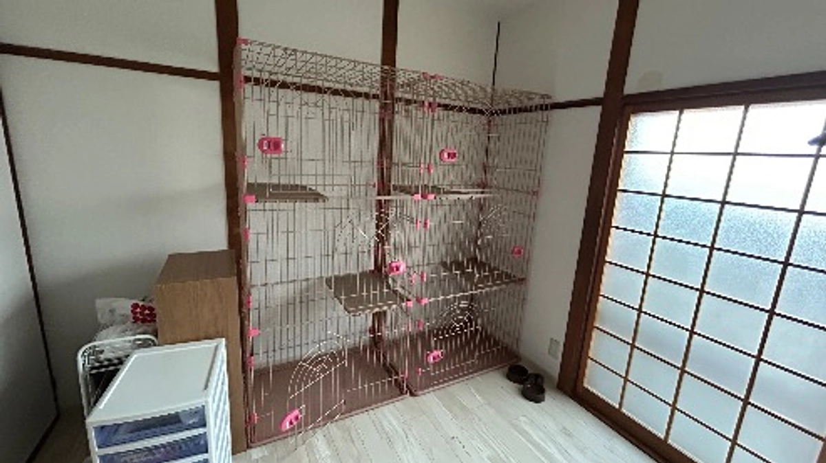 【残り6日！】今日もお引っ越し作業