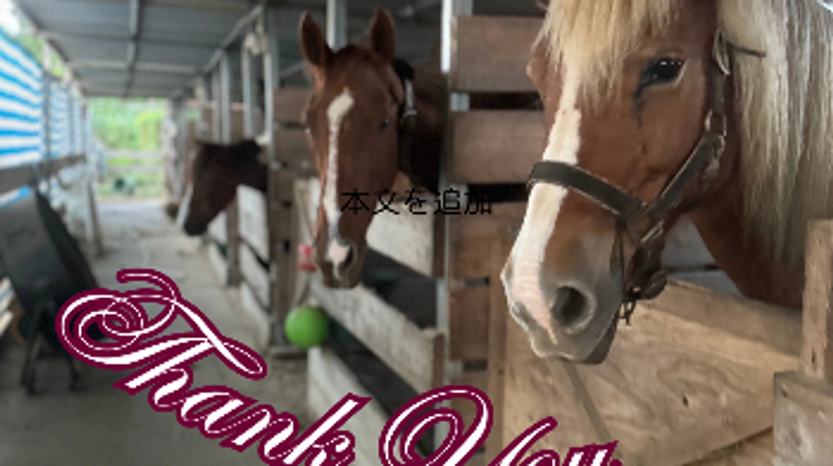 【公開中のプロジェクトがついに70%を突破！】ご支援の御礼と応援コメントのご紹介！