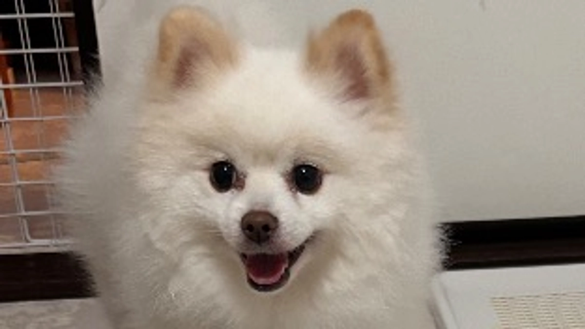 手術日、決定のお知らせ💗