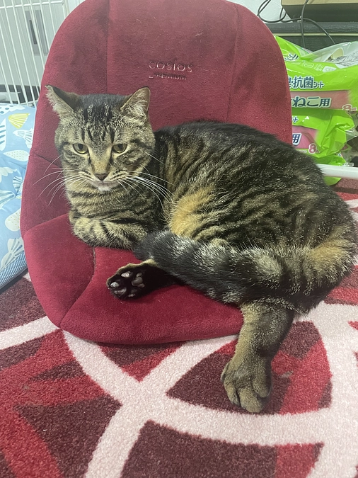 お久しぶりです