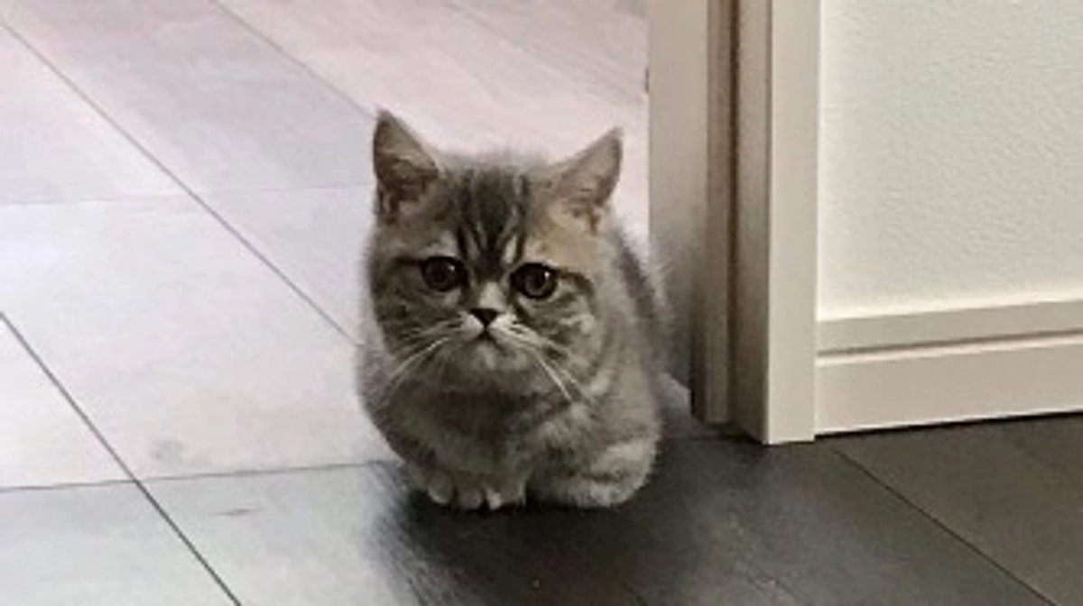 リターンの送付について