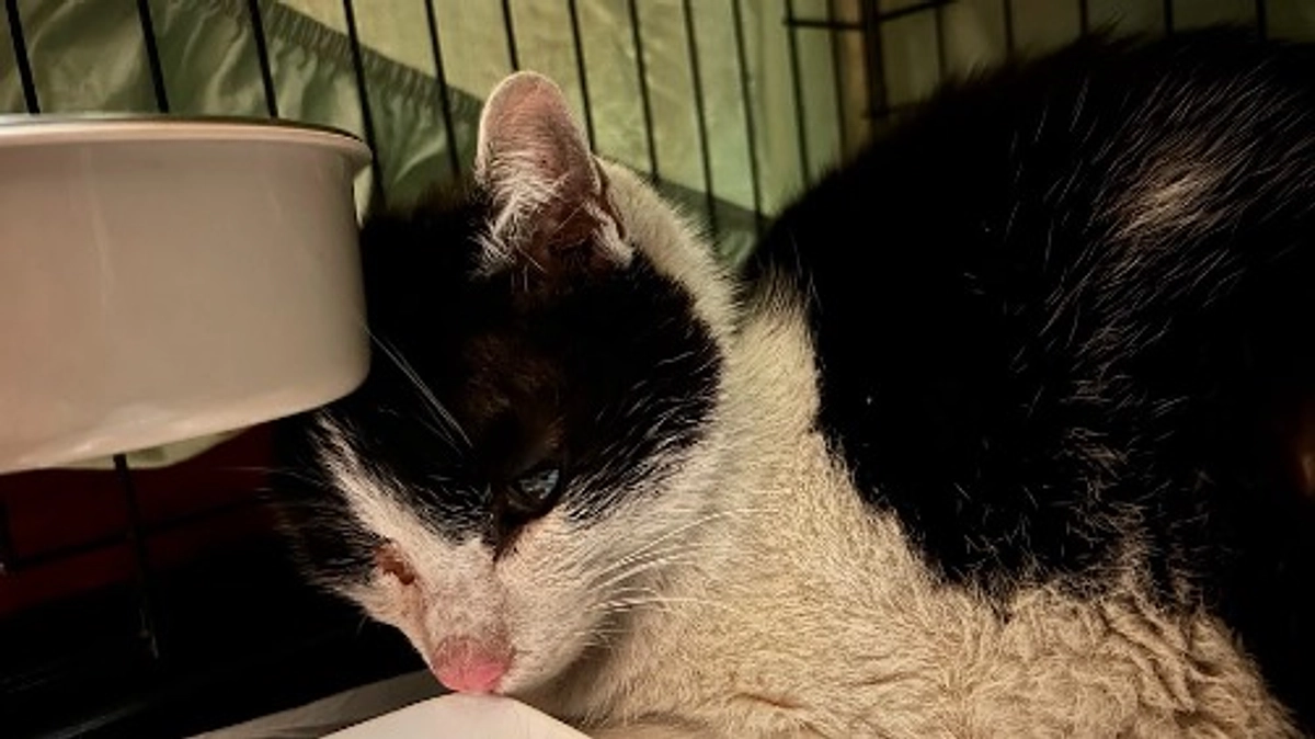 保護フル稼働！