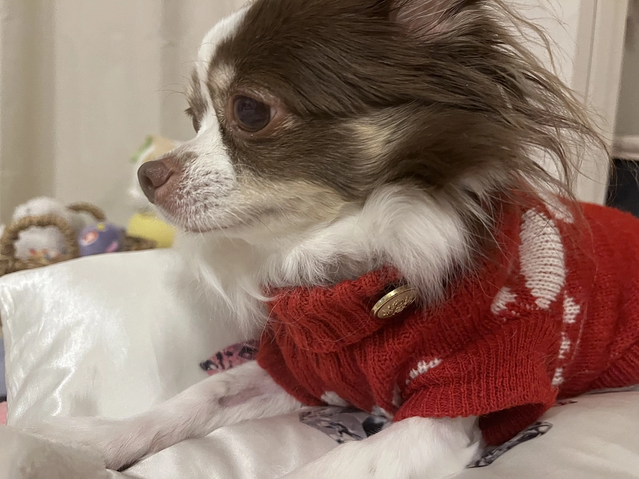 2023.12.13 術後8日目。