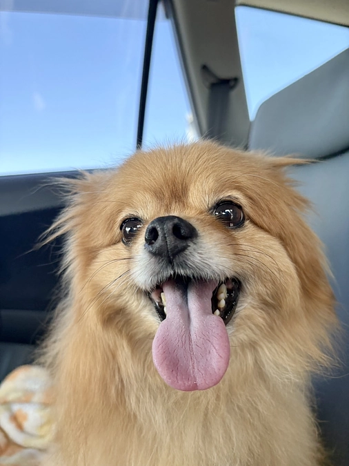 ご支援金が入金されました