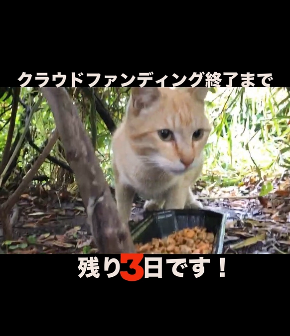 残り3日になりました。