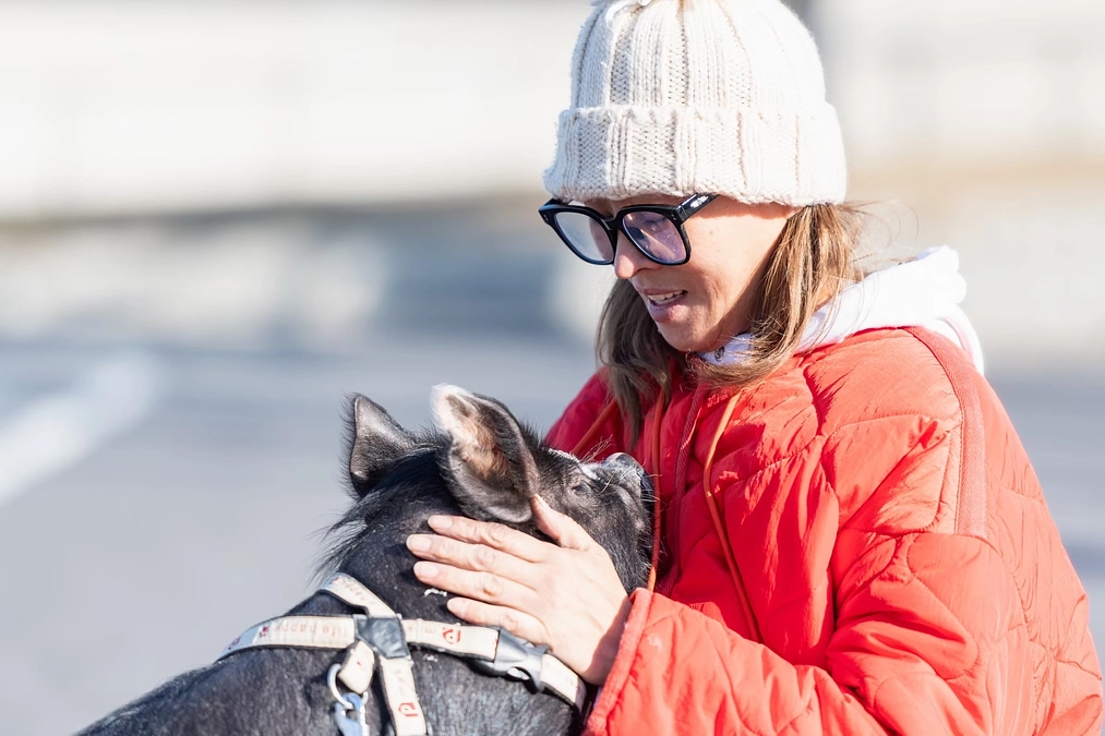 2度目のクラウドファンディングをする理由