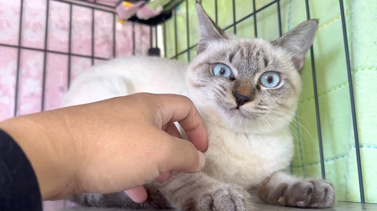 ご報告&シェルター改装