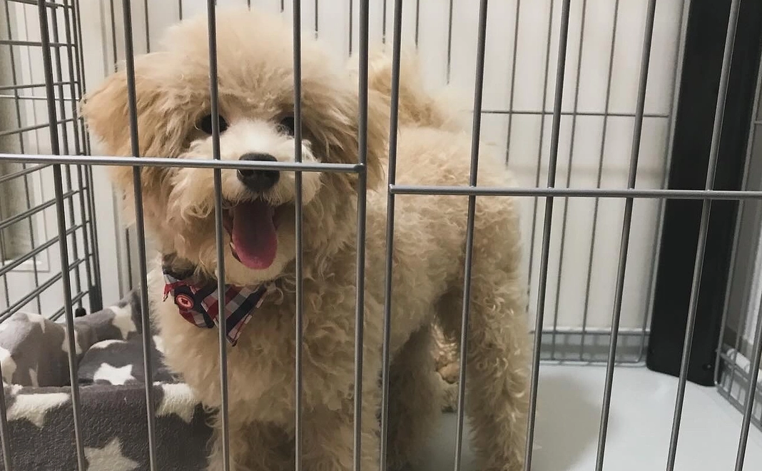 感謝のメッセージ１（写真付き）