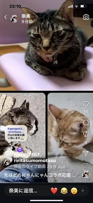 初インスタライブ。