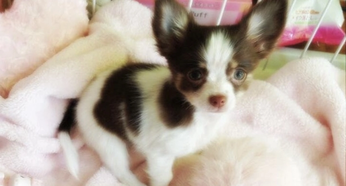 2024.01.10 インスタライブの告知です🙇🏼‍♀️