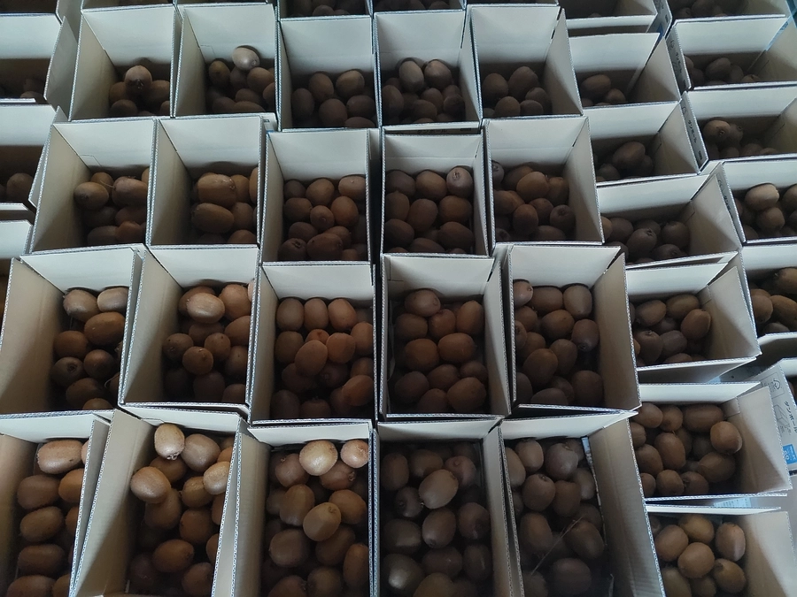 発送準備しています