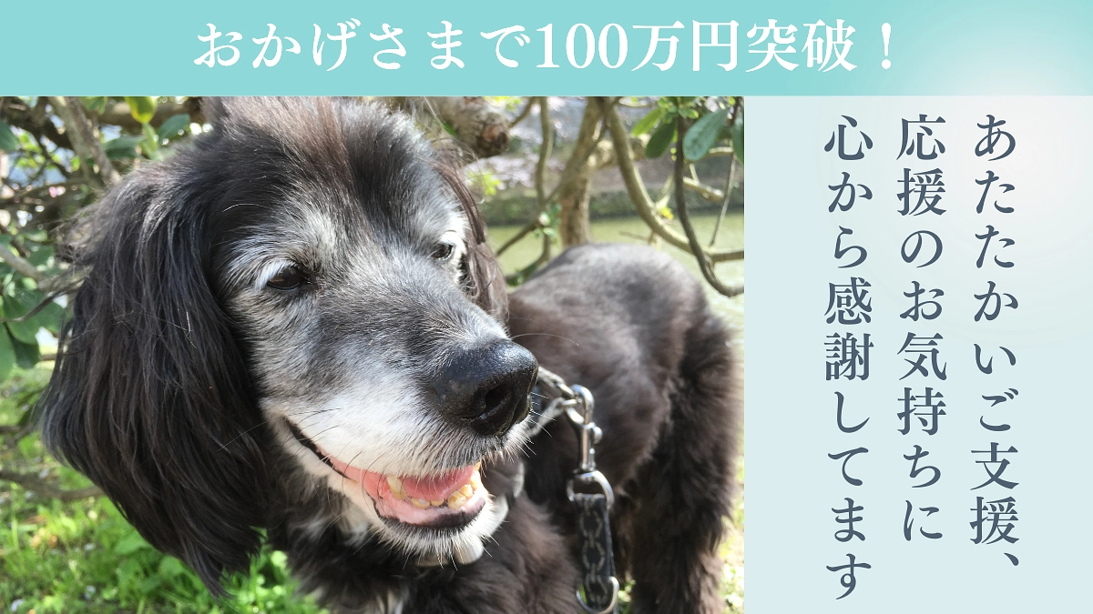【100万円突破のお礼！】ご支援いただいています皆様へ　終了まで残り16日間全力で駆け抜けます！