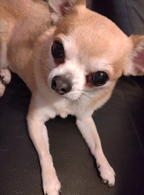 5/6 残り5日です