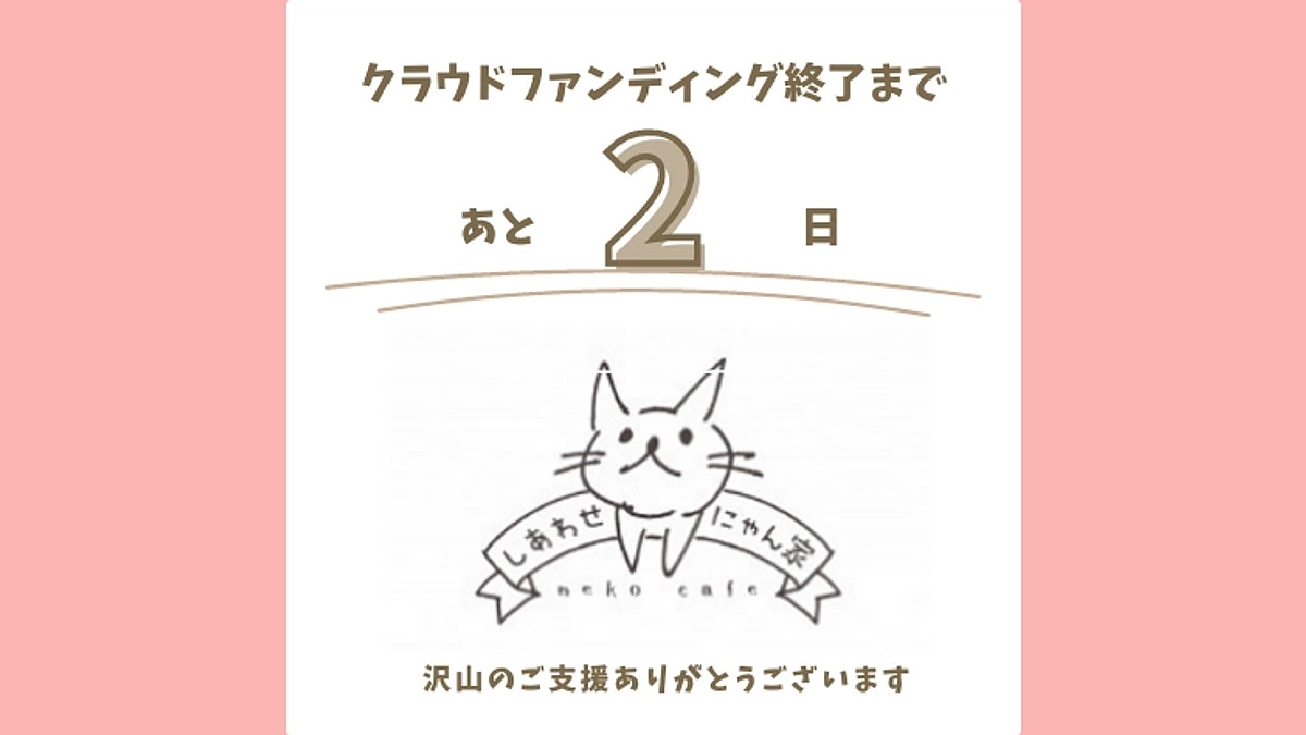 インスタライブのご案内！支援募集は22日23時まで