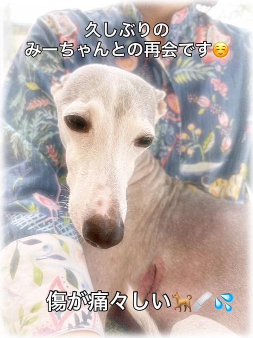 明日退院出来ますよ❗️🏥