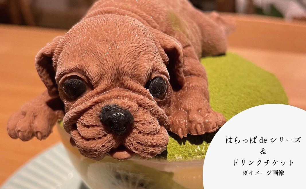 カフェ利用、元はらっぱdeシリーズとドリンクのチケット