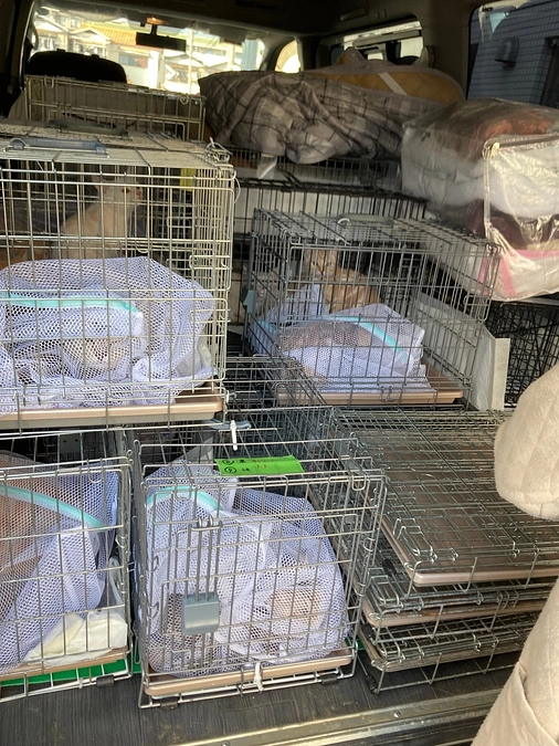 ご無沙汰していて