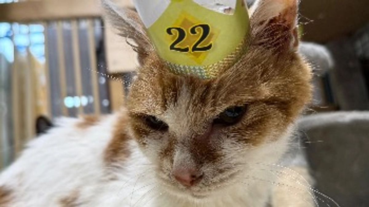 皆さまありがとうございます。22歳ヨーヨーくんのご紹介です