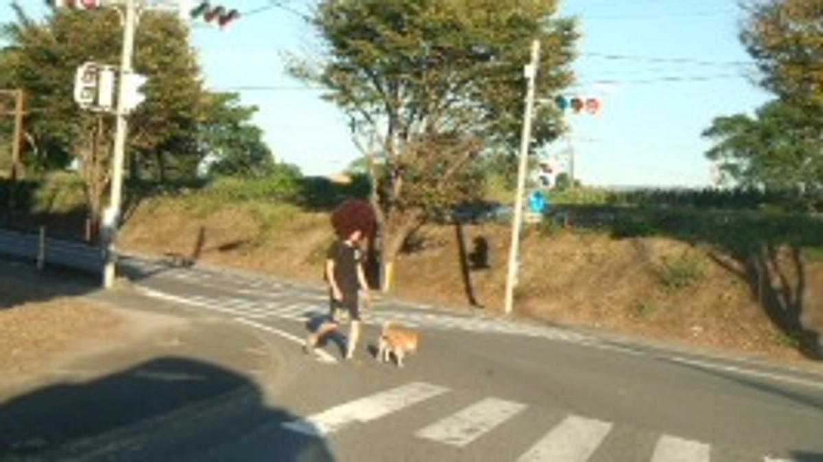 何かが起こる気がするね