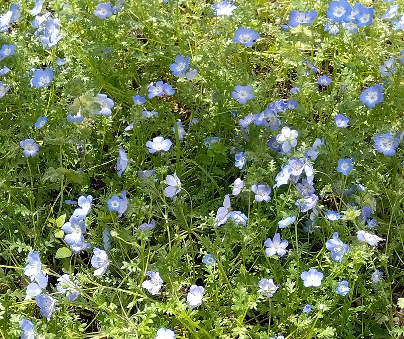 🙌生存確認🙌😅