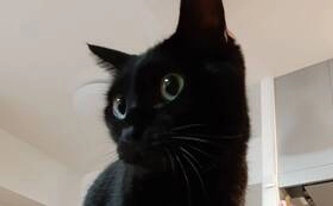 感謝のメール☆