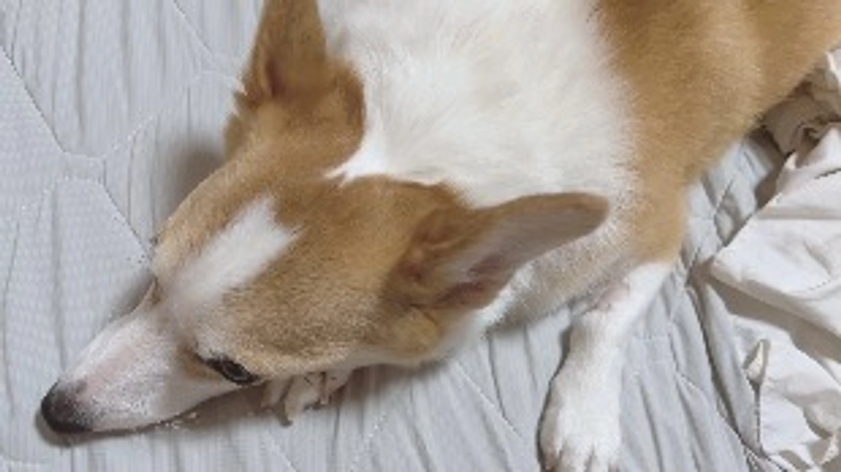 昨日は6回目の抗がん剤でした！