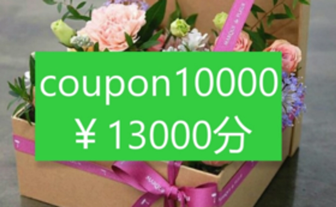 オンラインクーポン付与（13,000円分)