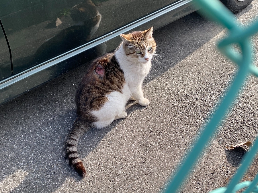 助けたい思いと出来ないもどかしさ