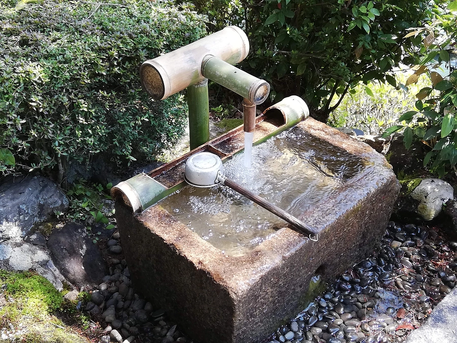 愚堂東寔禅師の妙感寺中興への思い